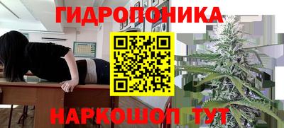 сатива Анапа