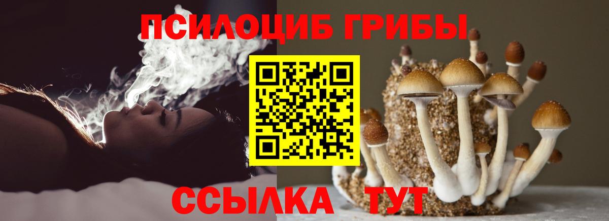 Галлюциногенные грибы ЛСД  Вход с VPN  Галлюциногенные грибы Cubensis  Бердск 